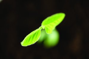 GitOps行业最新动态和趋势分析