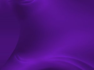 全文检索